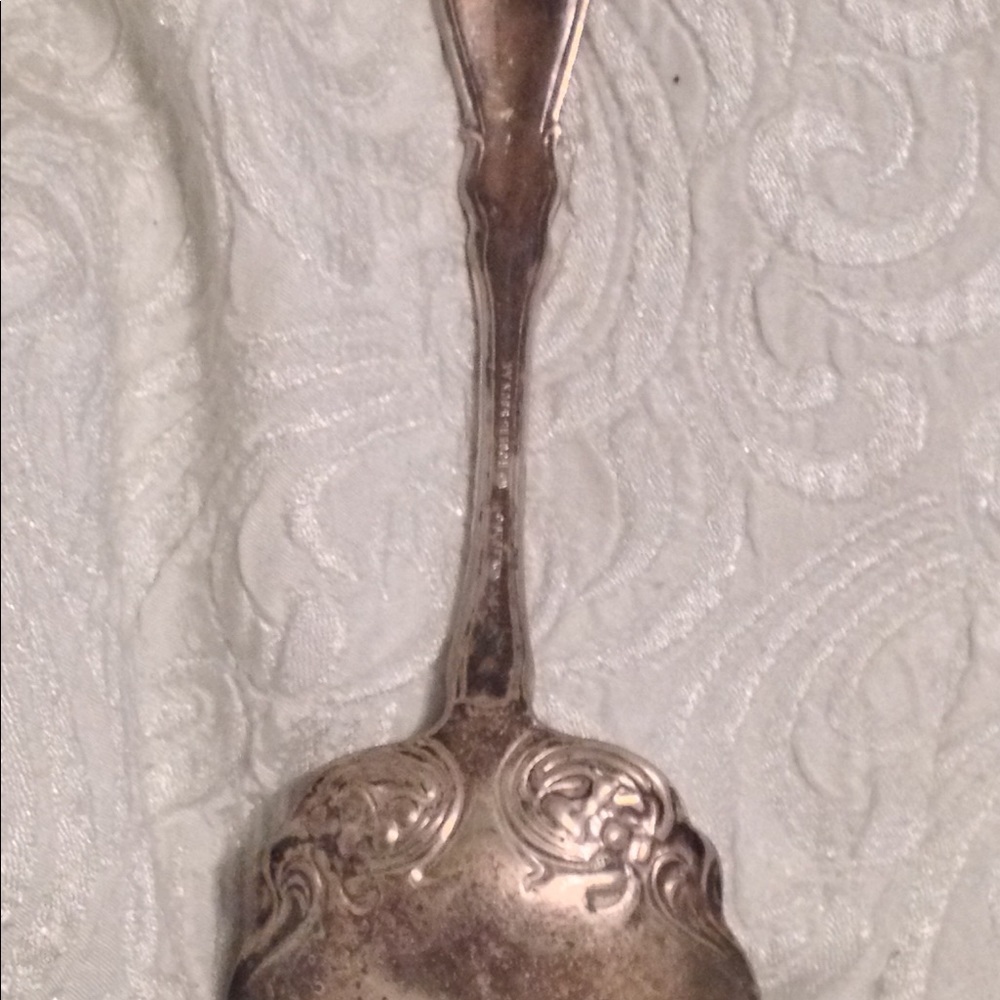 Gorgeous 1910 Silverplate Laddle